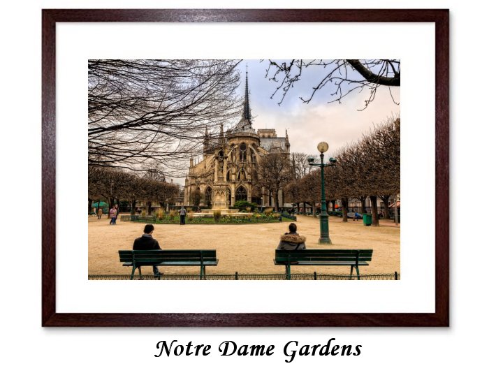 Paris City Tourist Notre-Dame Garden Fall